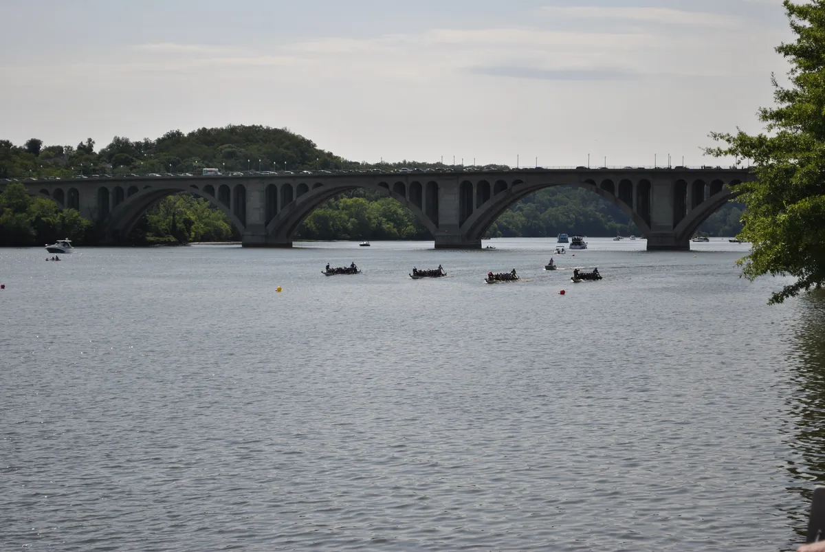 DC Dragon Boat Festival at Georgetown Waterfront Park